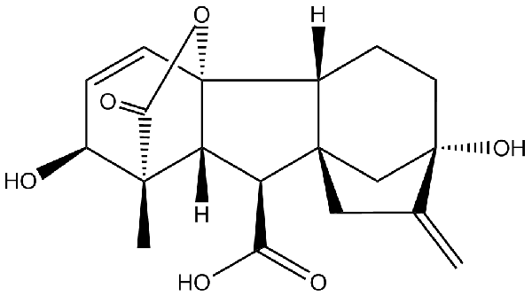 赤霉素GIBBERELLIC ACID，居然有這么神奇？